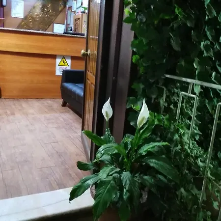 Hostel Atlas *