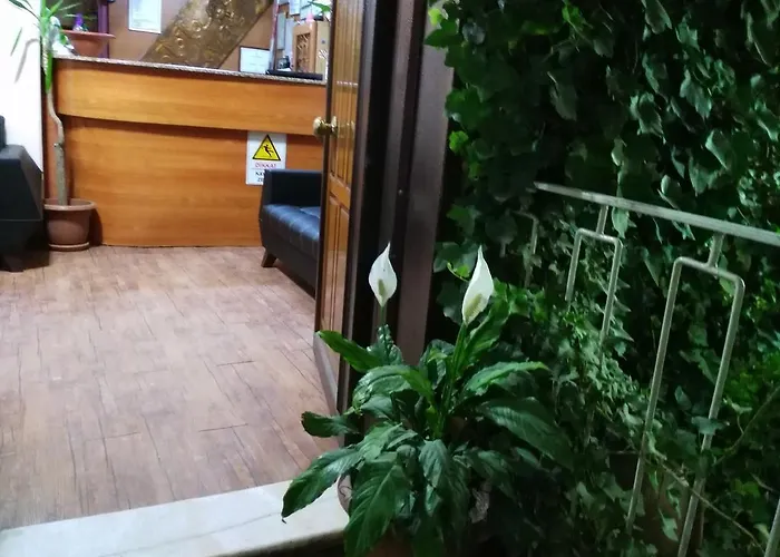 Hostel Atlas *